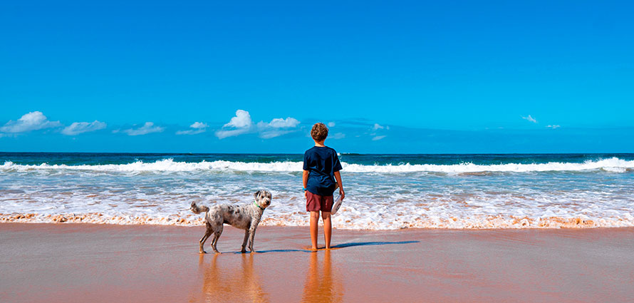 Urlaub mit Hund am Wasser